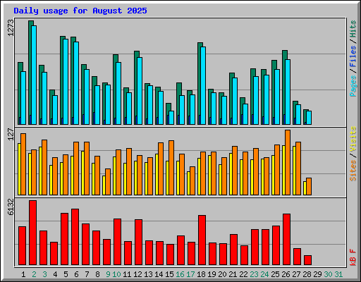 Daily usage for August 2025