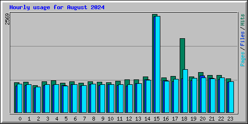 Hourly usage for August 2024