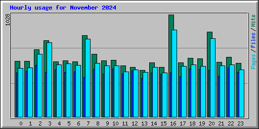 Hourly usage for November 2024