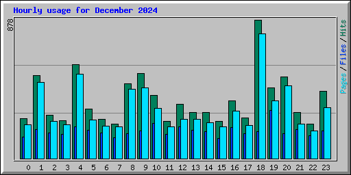 Hourly usage for December 2024