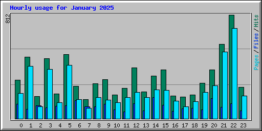 Hourly usage for January 2025