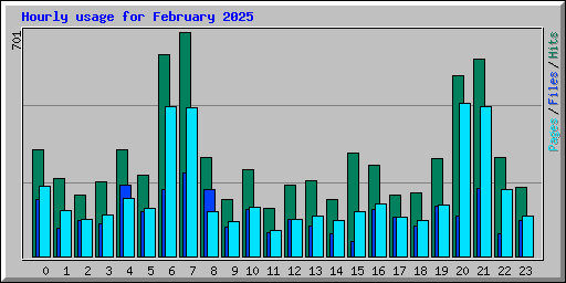 Hourly usage for February 2025