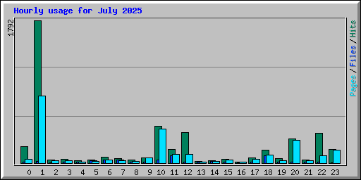 Hourly usage for July 2025