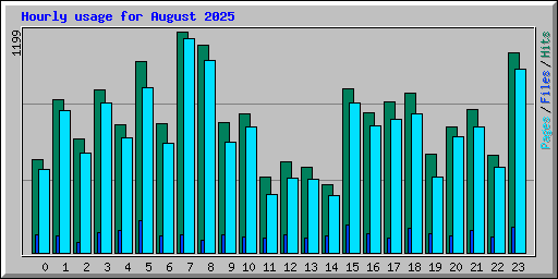 Hourly usage for August 2025