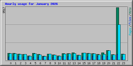 Hourly usage for January 2026