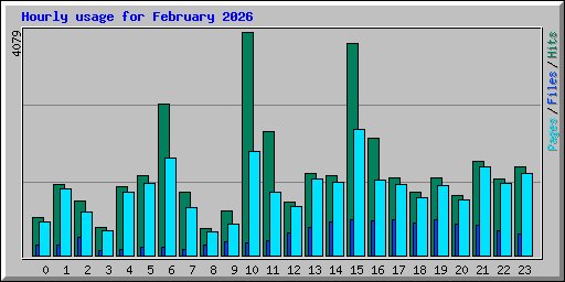 Hourly usage for February 2026