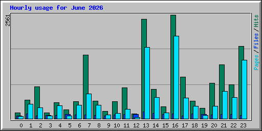 Hourly usage for June 2026