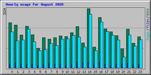 Hourly usage for August 2026