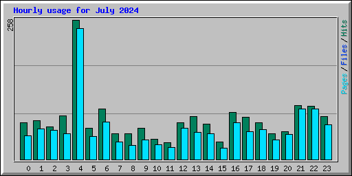 Hourly usage for July 2024