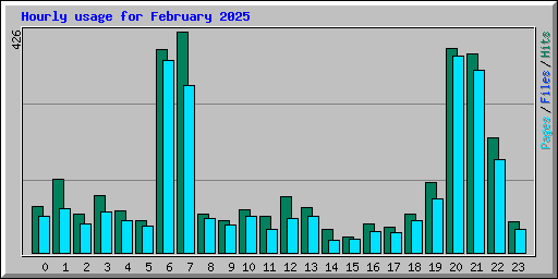 Hourly usage for February 2025