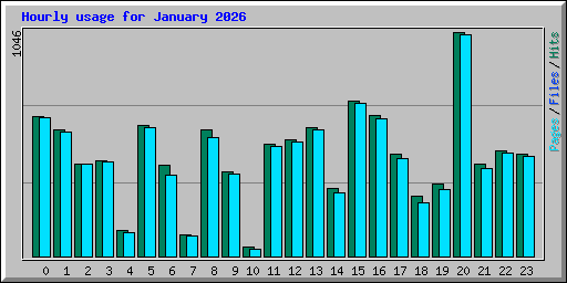 Hourly usage for January 2026