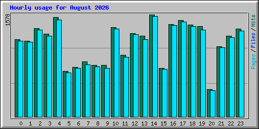 Hourly usage for August 2026
